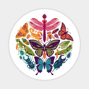 Bugs & Butterflies Magnet